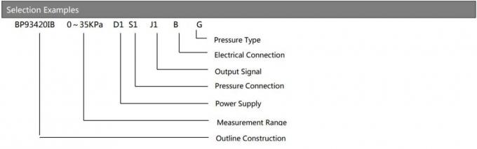 BP93420-I IP68 เครื่องถ่ายความดัน เครื่องตรวจจับระดับ 2