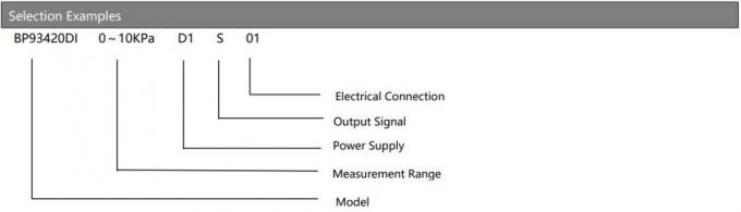 BP93420DIII -LCD Display Differencial Pressure Transmitter 2MPa เครื่องแปลงความดันดิจิตอล 3
